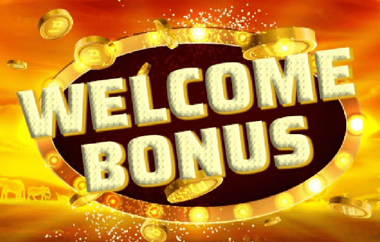 Welcome Bonuses