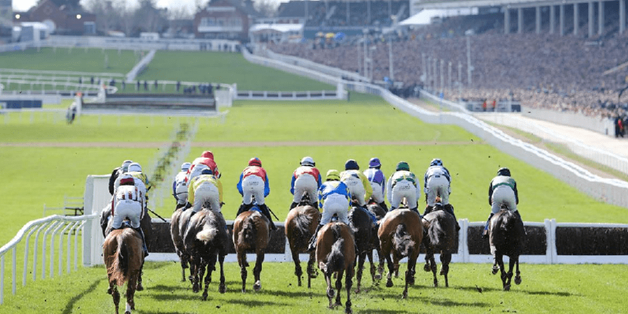 Cheltenham Festival: $306 million in sales for Flutter's online brands