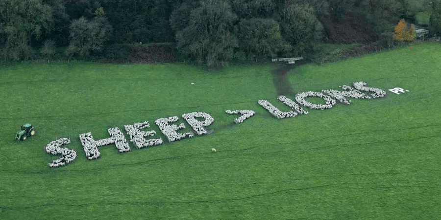 Paddy Power expresses its support for Wales ahead of the England match.